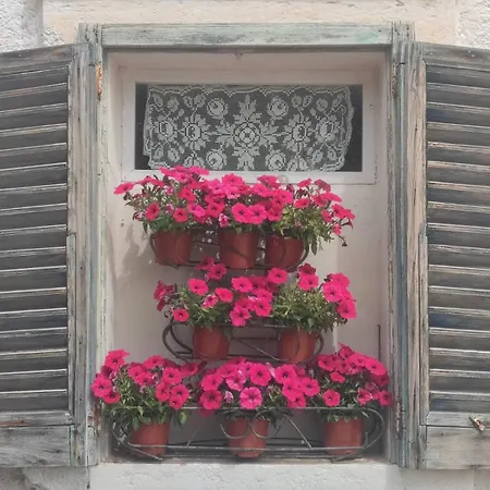 Farm stay Masseria Verbena