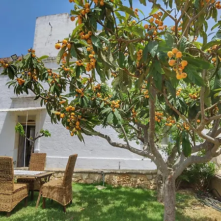 Farm stay Masseria Verbena
